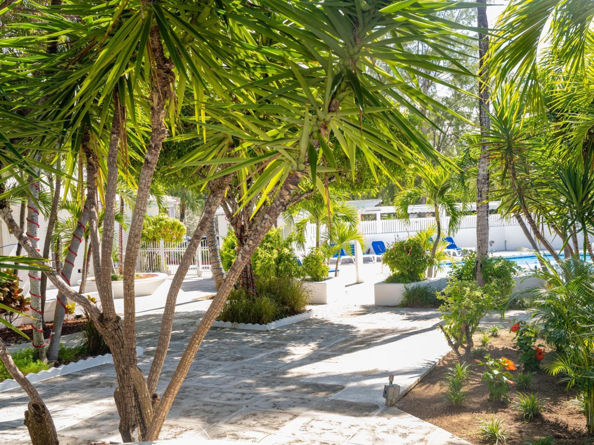 Paradise Island Beach Club Ocean View Villas Creek Village Exterior foto