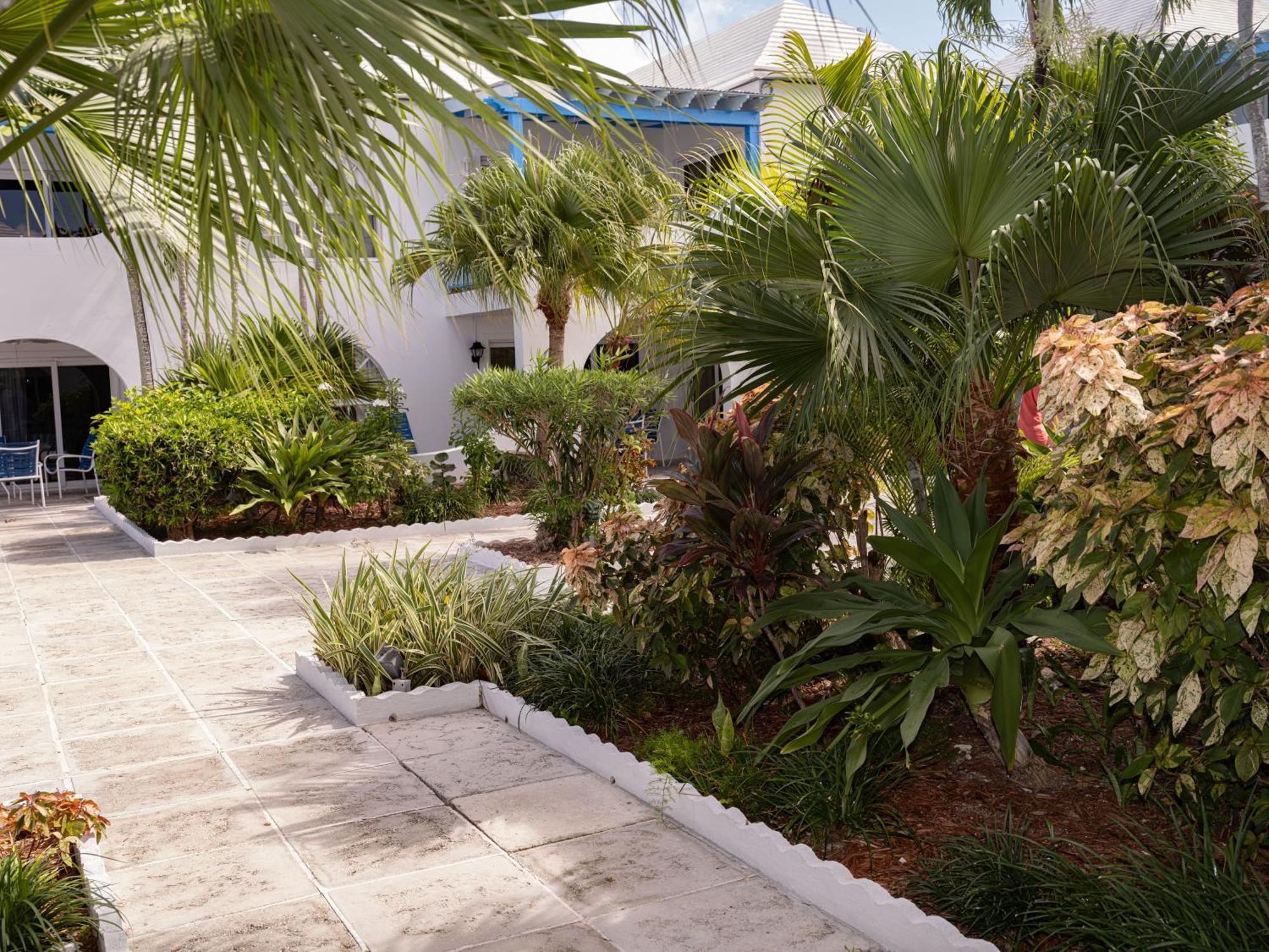 Paradise Island Beach Club Ocean View Villas Creek Village Exterior foto
